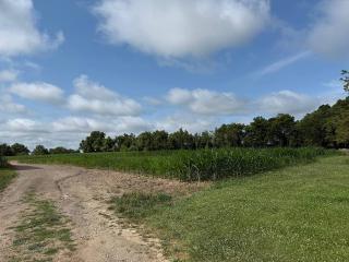 image 26
