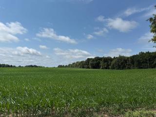 image 35