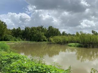 image 37