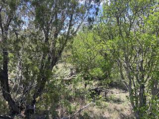 image 39