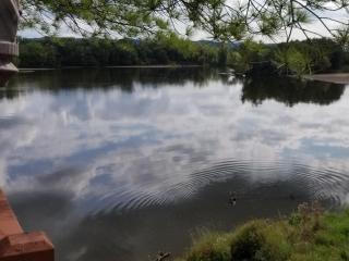 image 37