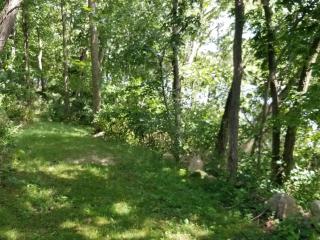 image 51