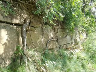 image 44