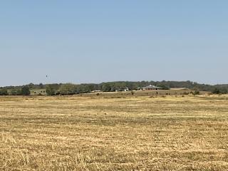 image 16