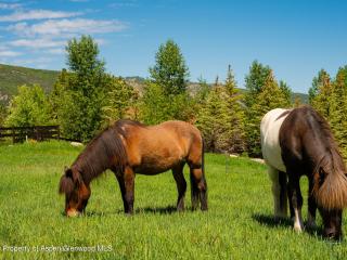 image 97