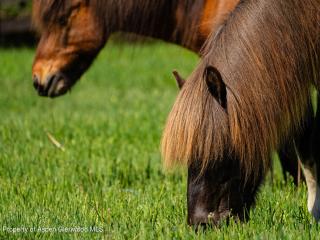 image 96