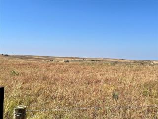 image 31