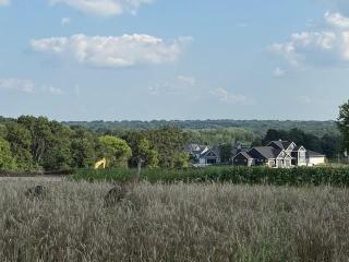 image 49