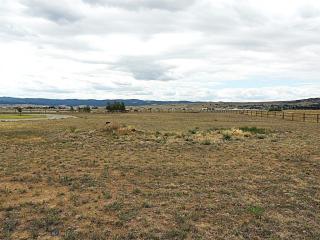 image 48