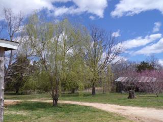 image 25