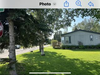 image 31