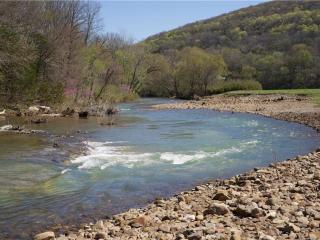 image 23