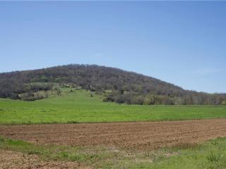 image 31