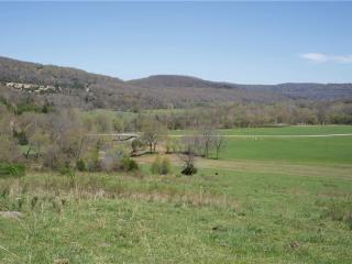 image 36