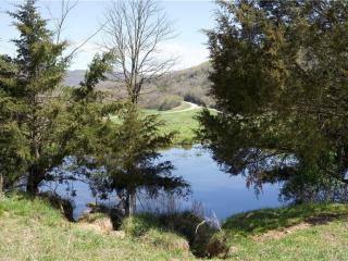 image 35