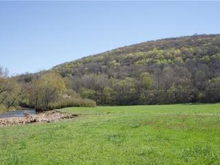 image 25
