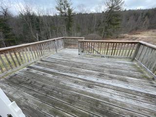 image 37