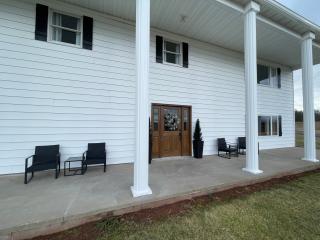 image 19