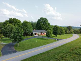 image 14