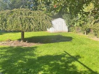 image 24