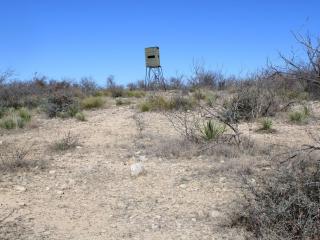 image 14