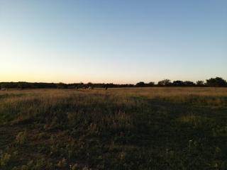 image 28
