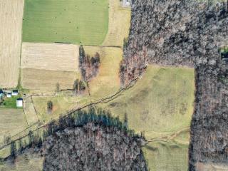 image 96