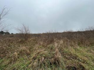 image 29