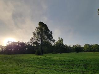 image 16