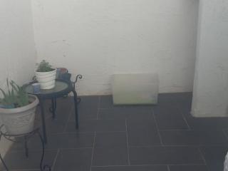 image 33