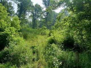 image 31