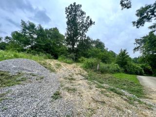image 37