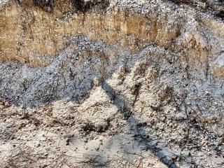 image 23