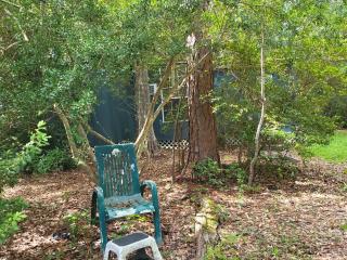 image 34
